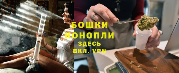 мяу мяу мука Гусь-Хрустальный