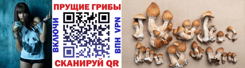 Псилоцибиновые грибы мицелий магазин продажи наркотиков Балаково